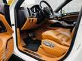 Porsche Cayenne Cayenne Turbo ACC/Pano/Stadh/Totw. Weiß - thumbnail 14