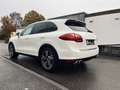 Porsche Cayenne Cayenne Turbo ACC/Pano/Stadh/Totw. Weiß - thumbnail 3
