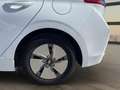 Hyundai IONIQ HEV 1.6 GDI Klass Blanco - thumbnail 12