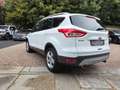 Ford Kuga Sync Edition  2.Hand 8-Fach Euro 6 Weiß - thumbnail 7