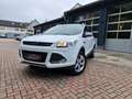 Ford Kuga Sync Edition  2.Hand 8-Fach Euro 6 Weiß - thumbnail 1