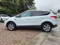 Ford Kuga Sync Edition  2.Hand 8-Fach Euro 6 Weiß - thumbnail 8