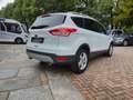 Ford Kuga Sync Edition  2.Hand 8-Fach Euro 6 Weiß - thumbnail 5