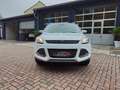 Ford Kuga Sync Edition  2.Hand 8-Fach Euro 6 Weiß - thumbnail 2