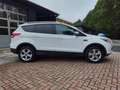 Ford Kuga Sync Edition  2.Hand 8-Fach Euro 6 Weiß - thumbnail 4