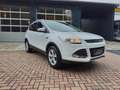 Ford Kuga Sync Edition  2.Hand 8-Fach Euro 6 Weiß - thumbnail 3