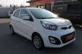 Kia Picanto 1,0 MPI Silber Weiß - thumbnail 3