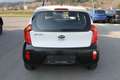 Kia Picanto 1,0 MPI Silber Weiß - thumbnail 5