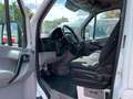 Mercedes-Benz Sprinter 316 CDI/L2/H2/MixTo/KLIMA/AHK/1.H/TOP Weiß - thumbnail 12
