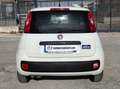 Fiat New Panda VAN 1.3 M-JET 4 POSTI - 2018 Blanco - thumbnail 4