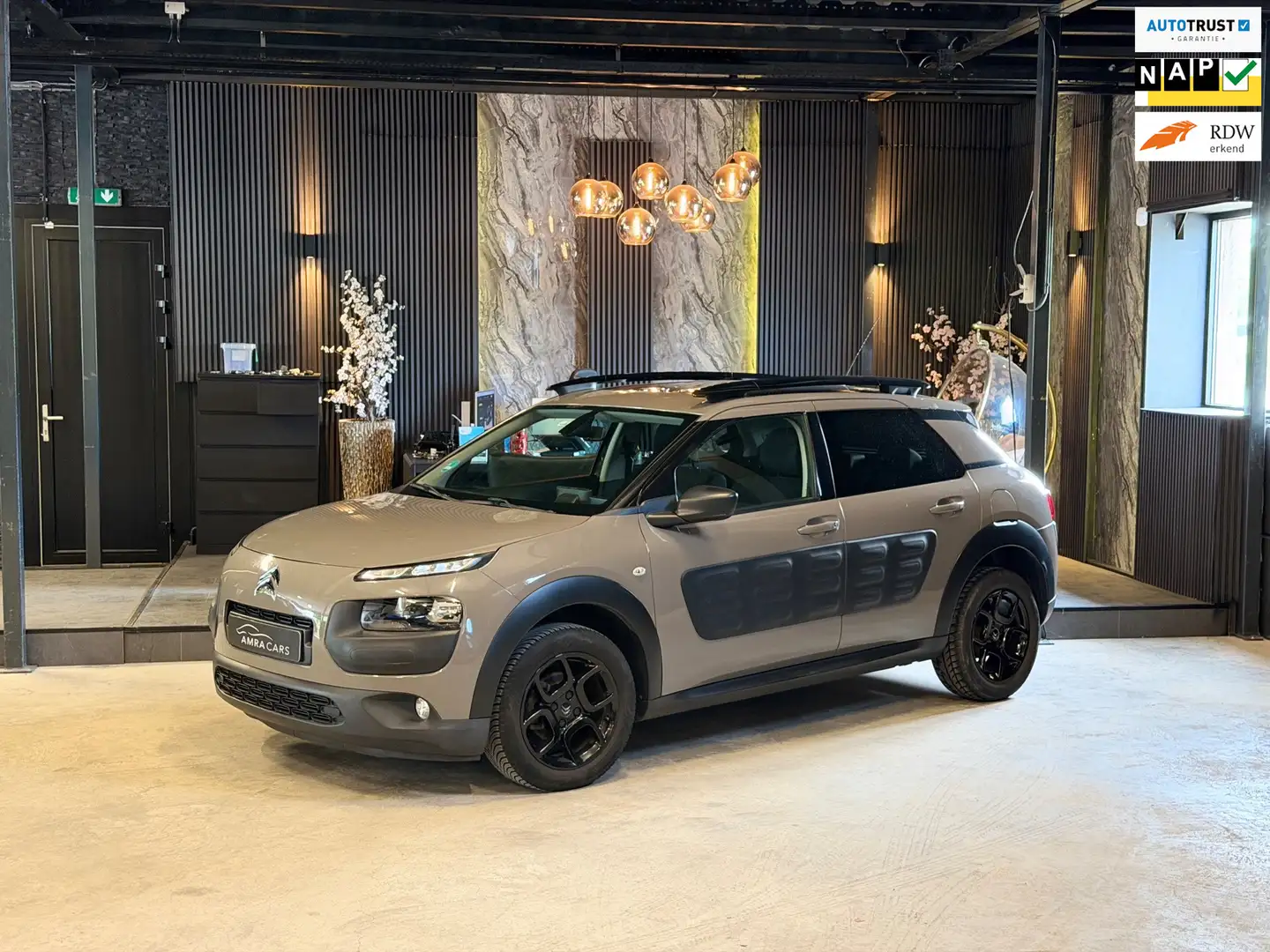 Citroen C4 Cactus 1.2 PureTech Shine|Pano|Cam Braun - 1