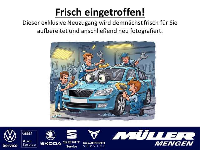 Skoda Octavia Combi Clever Columbus|AP-Reise|ACC