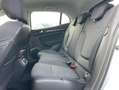 Renault Megane IV BLUE DCI 115 EVOLUTION Bianco - thumbnail 9