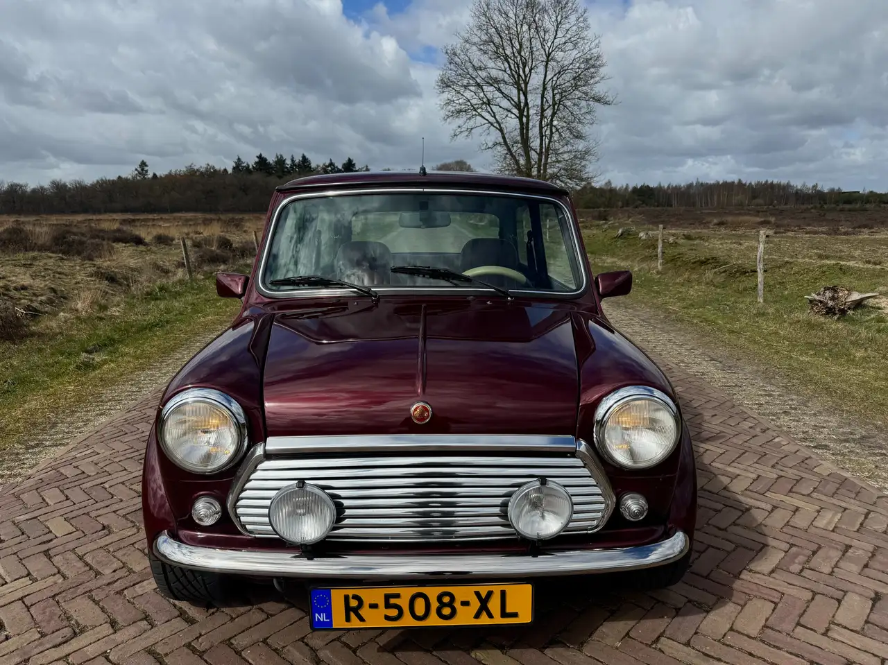 MINI Cooper S 1.3 40th Anniversary, foto 2