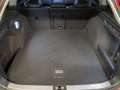 Volkswagen Passat Variant 1.5 eTSI DSG Business LED Navi AHK Rear View Rot - thumbnail 19