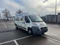 Fiat Ducato Kasten 120 Multi L4H2 HU 2026 155Tkm Blanc - thumbnail 3