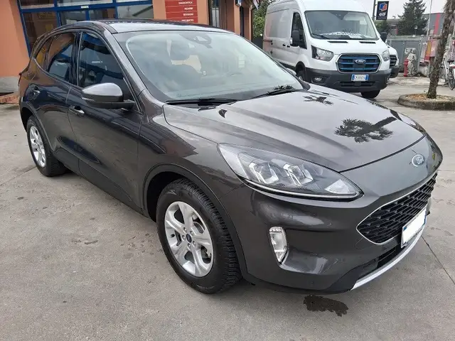 Ford Kuga Kuga 1.5 EcoBlue 120 CV aut. 2WD Connect (445)