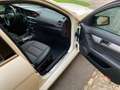 Mercedes-Benz C 220 C SW 220 cdi be Avantgarde Bianco - thumbnail 6