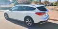 Ford Focus Focus Sportbreak 1.5Ecoblue Active X Active X Blanco - thumbnail 4