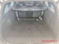 Kia Ceed SW / cee'd SW GT-Line 1.5 Techno-Paket Leder-Paket Glasdach Weiß - thumbnail 13