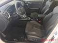 Kia Ceed SW / cee'd SW GT-Line 1.5 Techno-Paket Leder-Paket Glasdach Weiß - thumbnail 7