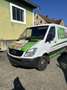 Mercedes-Benz Sprinter 513 CDI 5,0t / 3.665 mm - thumbnail 1