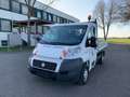 Fiat Ducato Pritsche 1Hand Weiß - thumbnail 7