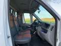 Fiat Ducato Pritsche 1Hand Weiß - thumbnail 12