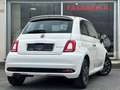 Fiat 500 1.0 HYBRID CONNECT - IVA DEDUCIBILE  - NO VINCOLI Blanc - thumbnail 6