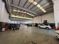 Audi Q7 55 TFSIe Black line edition quattro tiptronic Negro - thumbnail 29