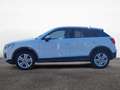 Audi Q2 35 TFSI advanced AHK Keyless Kamera Bianco - thumbnail 3