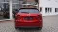 Mazda CX-5 SKYACTIV-G 194 FWD Ad'vantage *LED* NAVI* Rojo - thumbnail 15