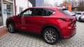 Mazda CX-5 SKYACTIV-G 194 FWD Ad'vantage *LED* NAVI* Rojo - thumbnail 16