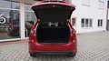 Mazda CX-5 SKYACTIV-G 194 FWD Ad'vantage *LED* NAVI* Rojo - thumbnail 14