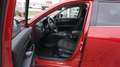 Mazda CX-5 SKYACTIV-G 194 FWD Ad'vantage *LED* NAVI* Rosso - thumbnail 12