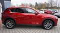 Mazda CX-5 SKYACTIV-G 194 FWD Ad'vantage *LED* NAVI* Rojo - thumbnail 5