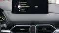 Mazda CX-5 SKYACTIV-G 194 FWD Ad'vantage *LED* NAVI* Rot - thumbnail 9