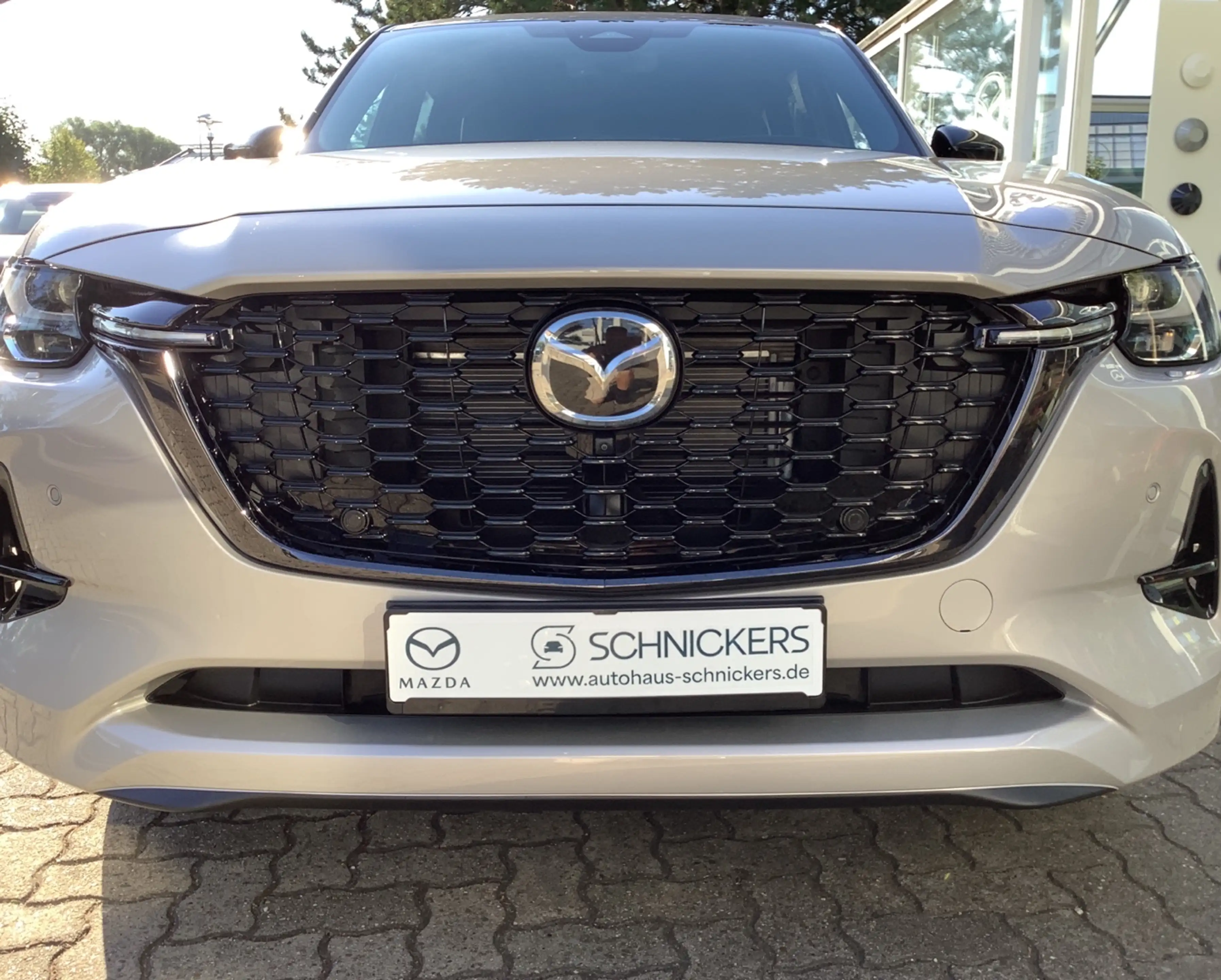 Mazda CX-60 3.3L e-SKYACTIV D 254ps — photo 8