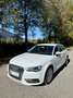 Audi A3 A3 SB quattro Intense 1,6 TDI DPF Intense Weiß - thumbnail 1