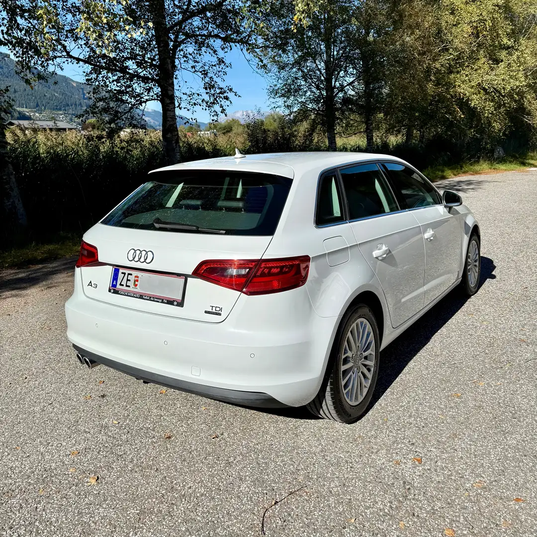 Audi A3 A3 SB quattro Intense 1,6 TDI DPF Intense Weiß - 2
