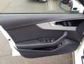 Audi A4 allroad A4 allroad 40 TDI 204 CV S tronic Identity Contra Bianco - thumbnail 15