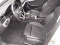 Audi A4 allroad A4 allroad 40 TDI 204 CV S tronic Identity Contra Bianco - thumbnail 4