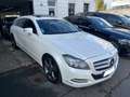 Mercedes-Benz CLS 350 Classe CLS Shooting Brake 350 CDI BlueEfficiency A - thumbnail 7