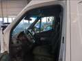 Mercedes-Benz Sprinter III 319 CDI L2 KLIMA NAVI KAMERA TEMPOM Weiß - thumbnail 3