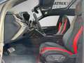 Lamborghini Urus Performante Carbon Production COC 2025 !! Blau - thumbnail 11