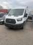 Ford Transit Fahrgestell 2,0 TDCi L4H1 350 Trend Aut. - thumbnail 1