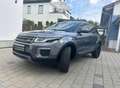 Land Rover Range Rover Evoque Range Rover Evoque TD4 Aut. SE Dynamic Grau - thumbnail 13