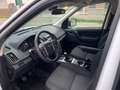 Land Rover Freelander 2.2 td4 SE 4wd 150cv Blanc - thumbnail 5