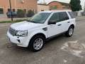 Land Rover Freelander 2.2 td4 SE 4wd 150cv Blanc - thumbnail 1