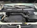 Land Rover Freelander 2.2 td4 SE 4wd 150cv Weiß - thumbnail 8